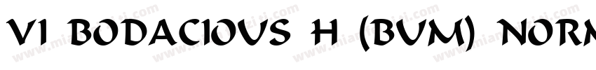 VI Bodacious H (Bum) Normal字体转换
